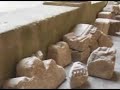 Video sobre Viseu