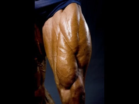 how to train vastus medialis