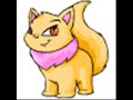 Neopets Tribute- You know ya wanna