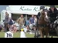 Most exciting equestrian sport