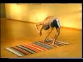 Sharath Backbending Asthanga Yoga