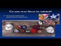 Ce-am mai facut in tabara