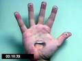 5 dollar foot long hand song
