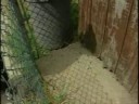 Rats! Sweeps Aim To Remove Rodents