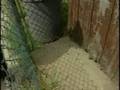 Rats! Sweeps Aim To Remove Rodents