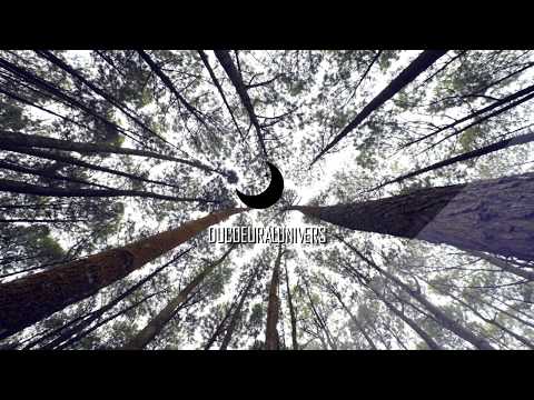 Image de prévisualisation YouTube