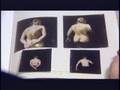 Art:21 | Collier Schorr