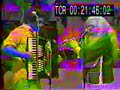 Hermeto Pascoal e Dominguinhos