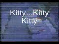 Hello Kitty? Theme
