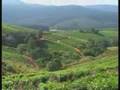 Limpopo Africa's Eden