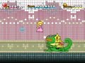 Super Paper Mario Boss 3 : Francis Super Paper Mario Boss 3 : Francis