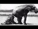 Songtexte - falsch verstanden