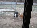 Playmates