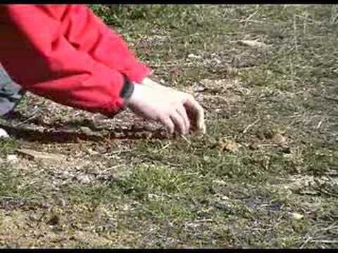 Airsoft land mine