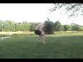 videos de Towel Whip