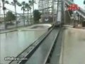 funny videos