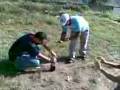 videos de Vídeo013.3g2