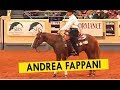 NRHA Futurity 2007 - Andrea Fappani - Best of Finals Rides