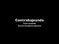 aurelia saxophone quartet

