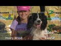 Zamzows Greatest American Dogs Zamzows Greatest American Dogs