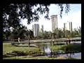 CRIAÇÃO DA ECOTV LONDRINA