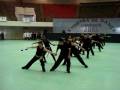 Apresentação Ginastica Geral Lusa 2008