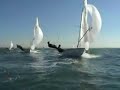 sailing 470 cadix