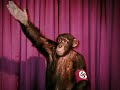 terrorgruppe nazis im haus terrorgruppe nazis im haus