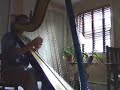 andreas-vollenweider-dancing-with-the-lion.html