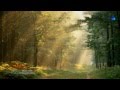 LE DOME DE LUMIERE - videoclipul lui aura_m