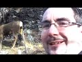 deerstalk and deer whispering kelowna