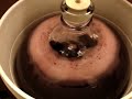 Vacuum_degassing_Amarone Vacuum_degassing_Amarone