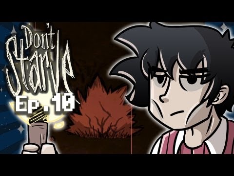 how to transplant berry bushes don't starve