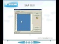 SAP Overview for all