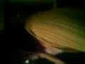 videos de me doing monkey