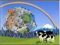 Katamari On The Rocks