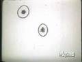 YOU BUG ME MOSQUITOS DIEASE 1930