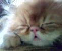 sleepy