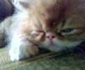 sleepy