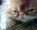 sleepy