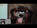 Correlation filter based tracking