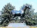 Man o' War