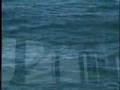 YouTube - SFM 2008 Fish Facts - Cobia