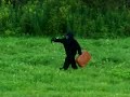 UPSTATE NEW YORK BIGFOOT FOOTAGE