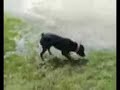 SPLISH SPLOSH SPLISH SPLOSH