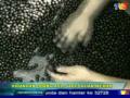 Acai Berry TV3