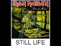 Iron Maiden Still Life