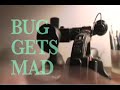 bug gets mad