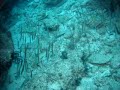 97/11/22 小琉球海域