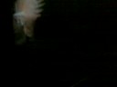 ChairTV;Gaiser,Troy Pierce,Barem,Richie Hawtin, Minus Party